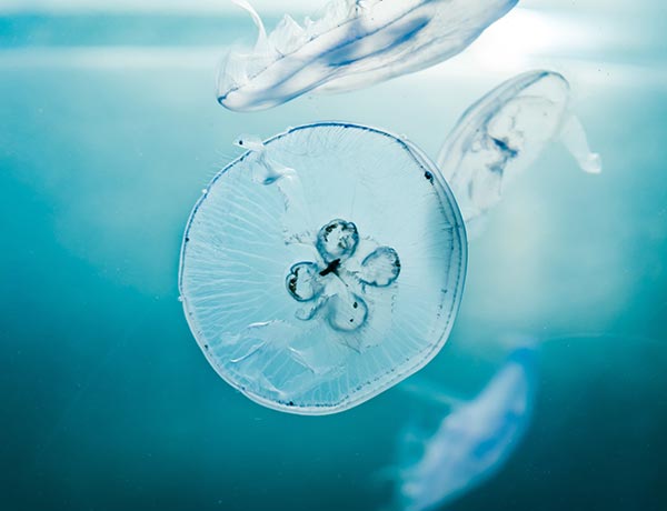 Accueil 35 willian-justen-de-vasconcellos-ASKGjAeIY_U-unsplash